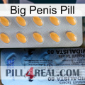 Big Penis Pill 44